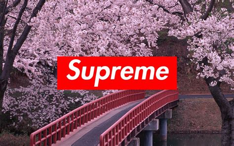 supreme wallpaper for desktop.